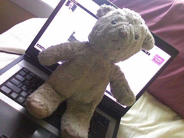 http://img.photobucket.com/albums/v225/bennyfizzle/beary.jpg