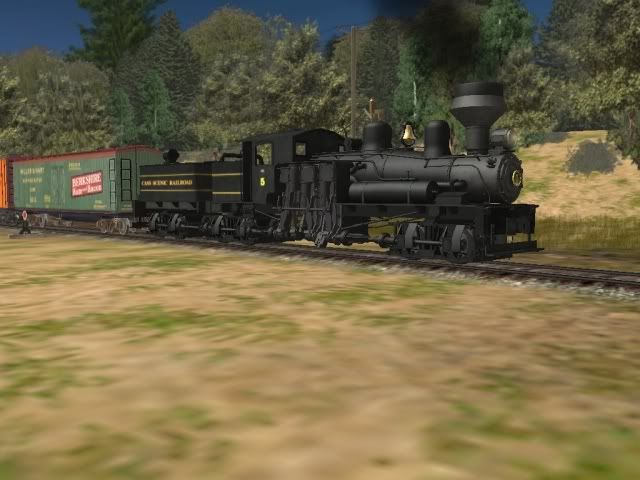 shay1.jpg