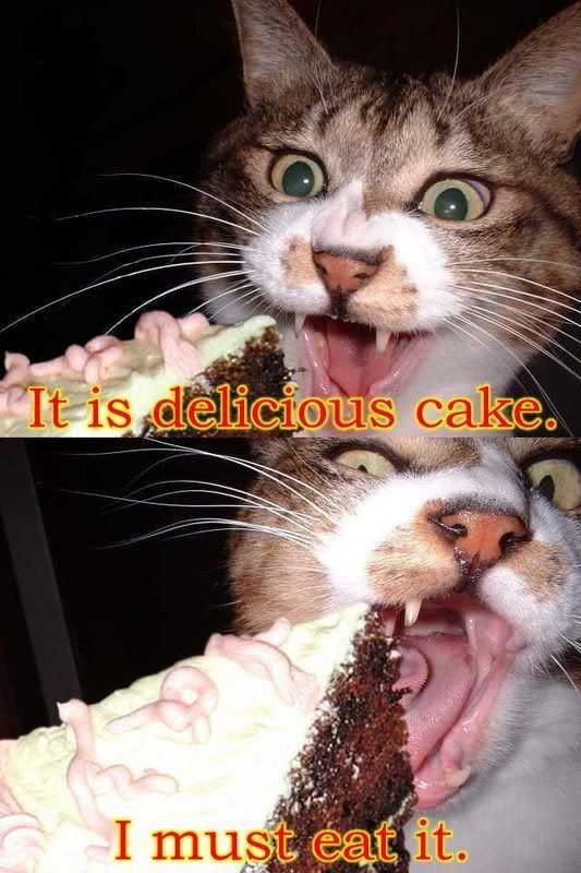 [Image: Fun_Cat_Eat_Cake.jpg]
