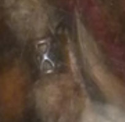 blondecuff1.jpg