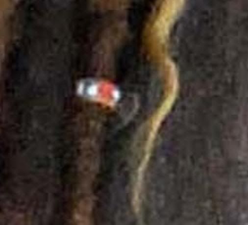 dreadcuff.jpg