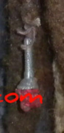 redmysteryhairitem.jpg