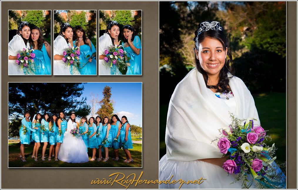 Quinceanera photography and her court by Roy Hernandez