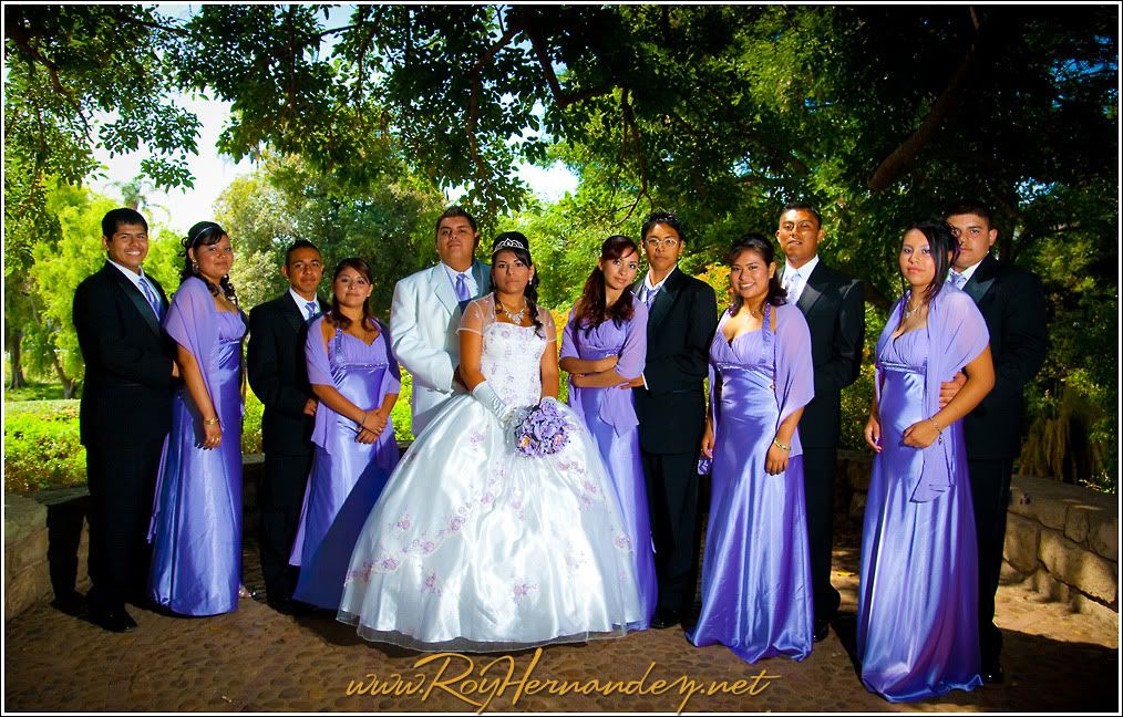 Quinceanera and her court photography by Roy Hernandez Photographer