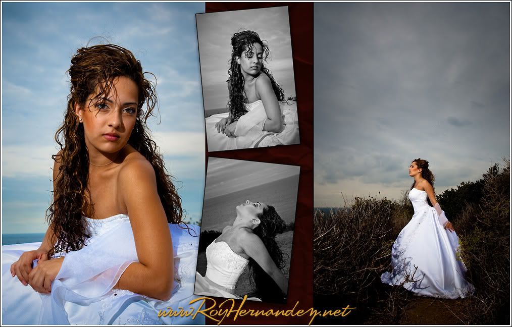 Trash the dress black and white photos by Rogelio Hernandez Photographer