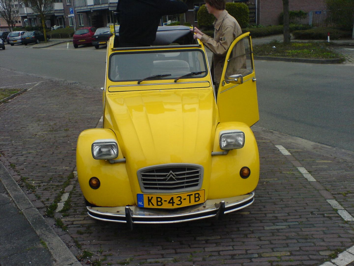 Afbeelding