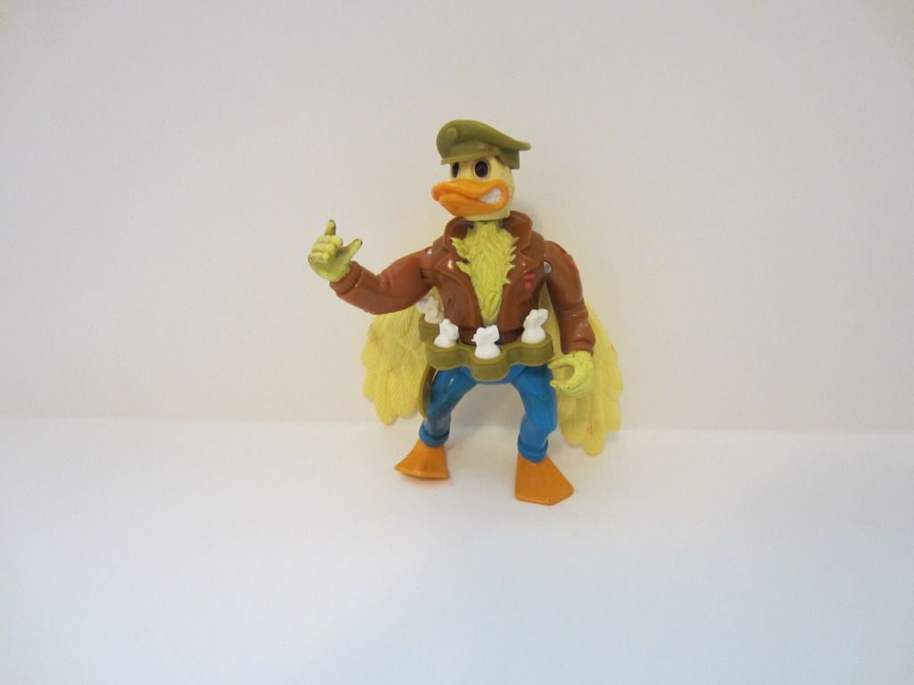aceduck