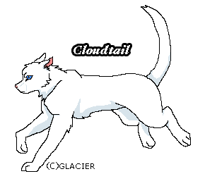 Cloudtail Warrior Cats