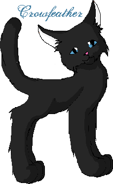 Crowfeather_z.gif