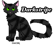 Warriors Darkstripe