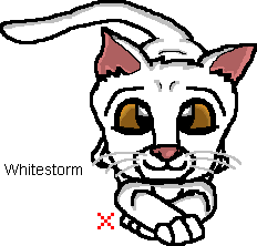 WhitestormX.gif
