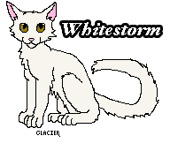 Whitestorm_0.gif