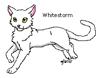 Whitestorm_b.gif