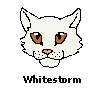 Whitestorm_i.gif