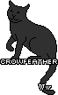 crowfeather_f2.gif