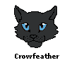 crowfeather_i15.gif