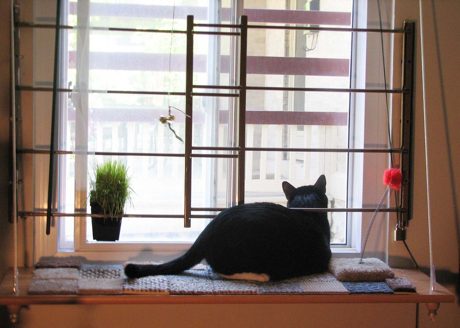 "Cat Shelf" window seat for apt. kitties! HOME SWEET HOME