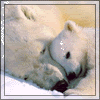 Image hosted by Photobucket.com