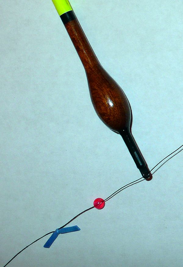 help Utah Wildlife Network