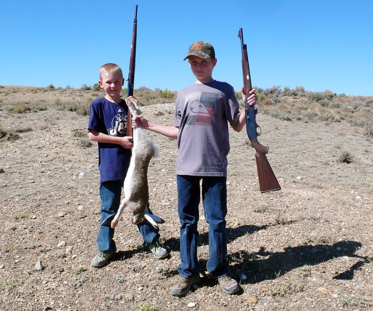 Utah Wildlife Network Jack Rabbit