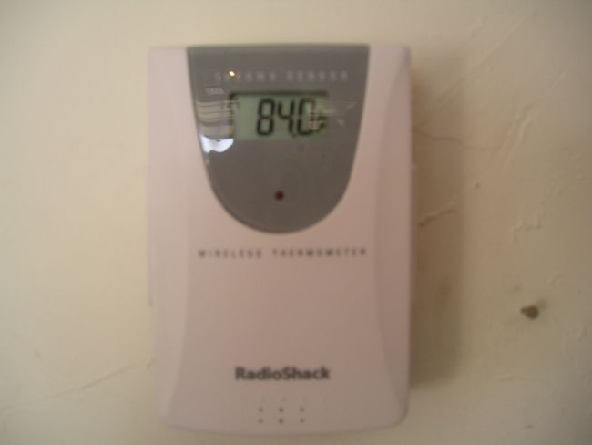 temp.jpg