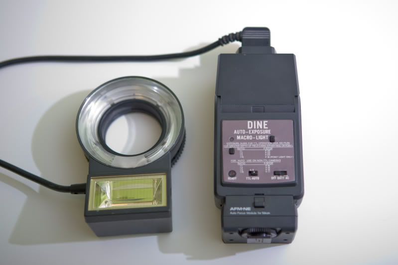 IMAGE: http://img.photobucket.com/albums/v228/Bubba_T/IMG_0316.jpg