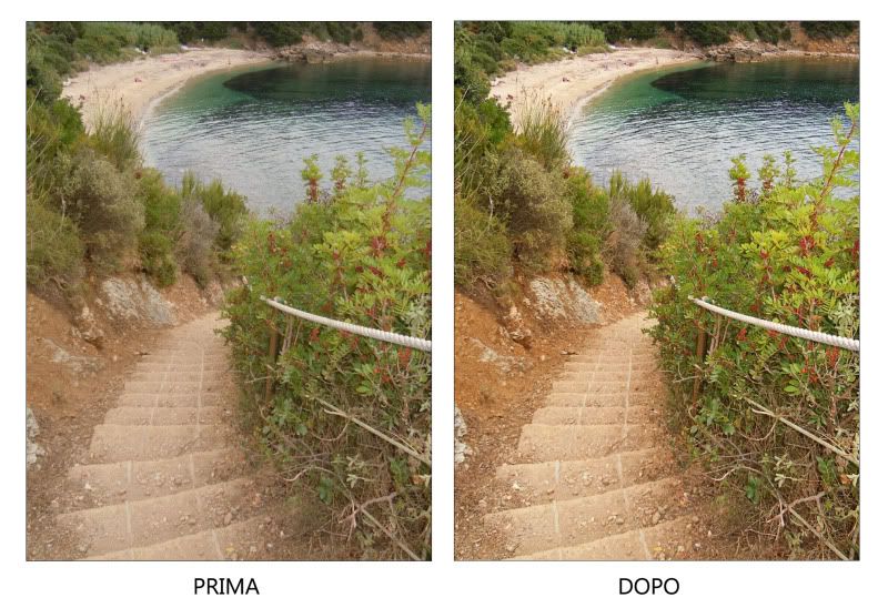 Immagine ridimensionata: clicca sull'immagine per vederla con le dimensioni originali.