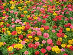 Image hosting by Photobucket