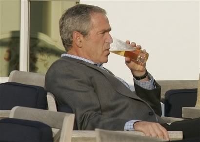 [Image: 8june2007bushdrunk1germany_g8_summi.jpg]