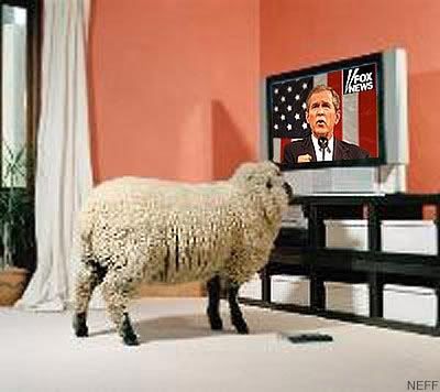 fox news sheep