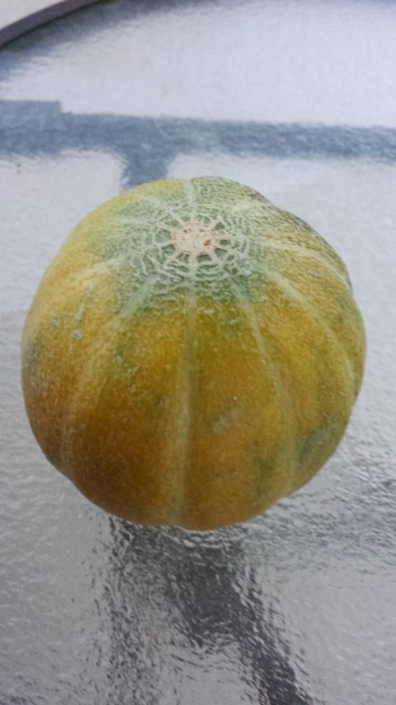 photo KPm48wUp_BERFLE-04uXhOhGhiSkwI2WYv2N8DZ3cwU_zps36c76132.jpg