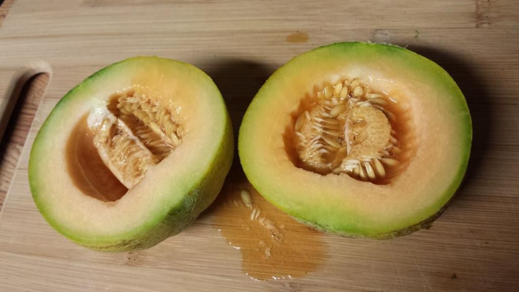 photo WPcsdLCUev3q4oPAuPPTO78fGoGoIKoFYv-bNK8NN_k_zpsf2d33777.jpg