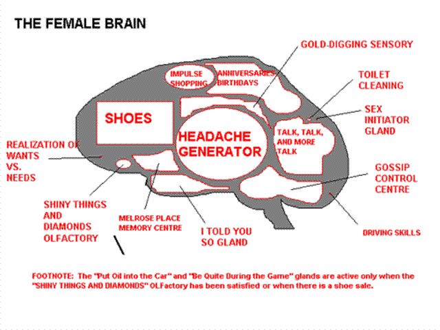 WomansbrainSmall.gif