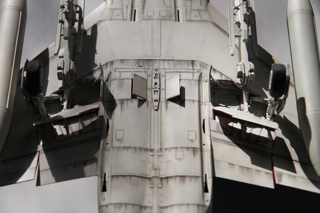 RSZ_4728ps.jpg