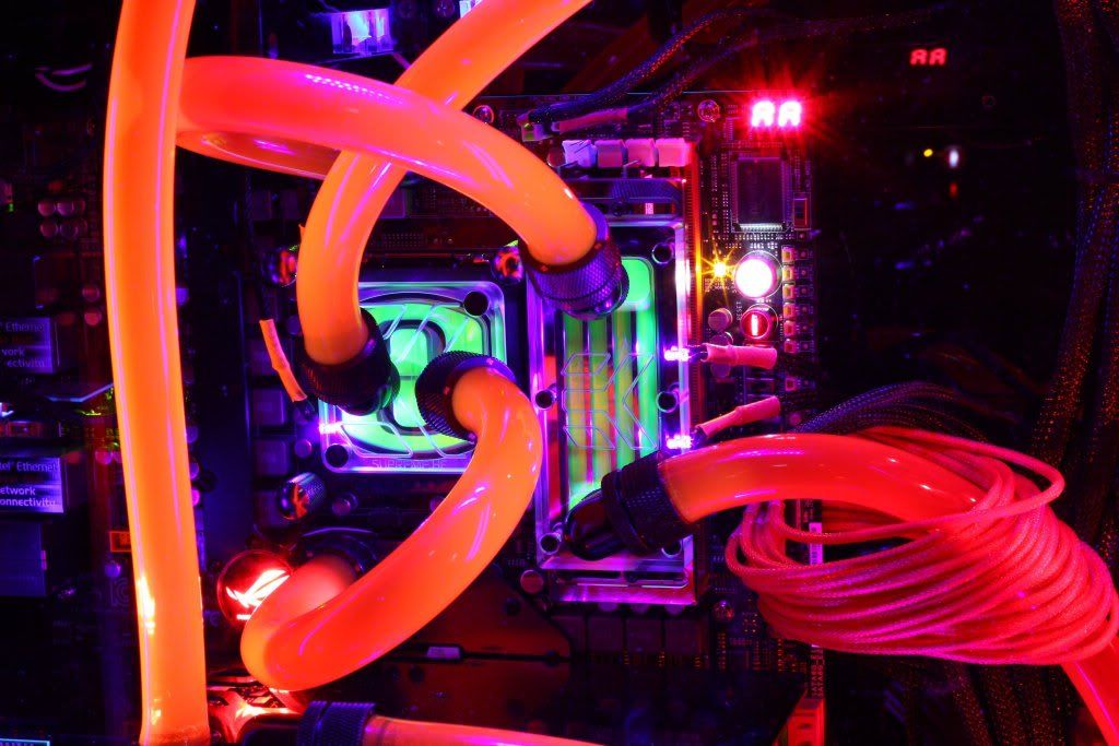 337371_10150525449408849_609033848_11589771_1561223145_o.jpg