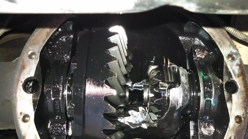 Image may have been reduced in size. Click image to view fullscreen.