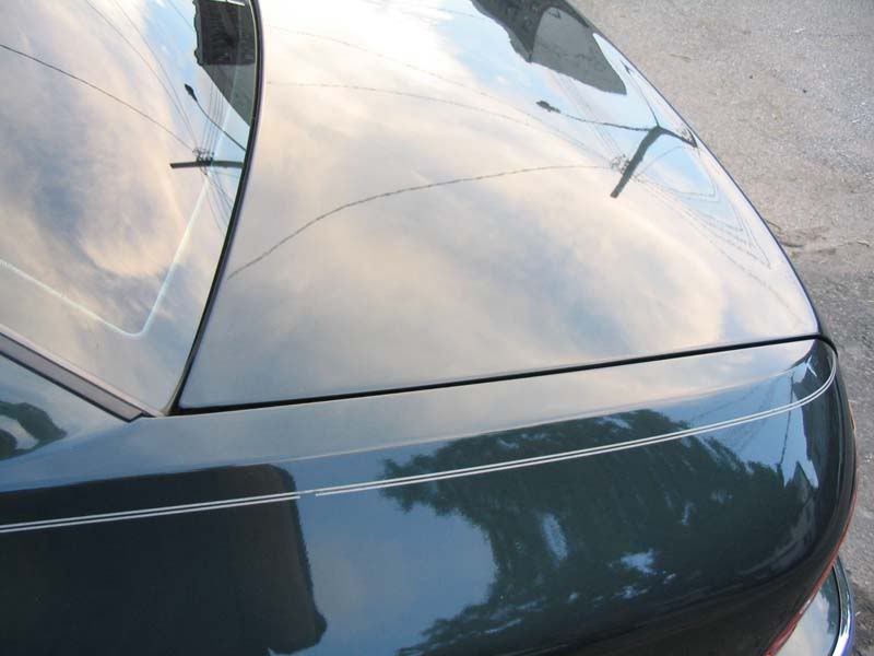 trunk_after.jpg