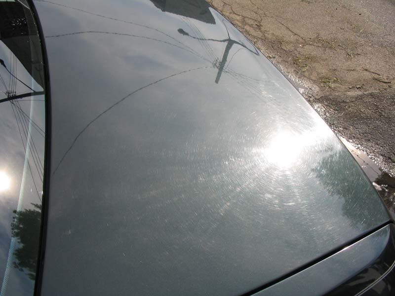 trunk_b4.jpg