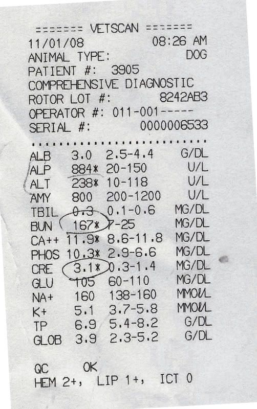 http://img.photobucket.com/albums/v229/mds33200/bloodwork_scan_2.jpg