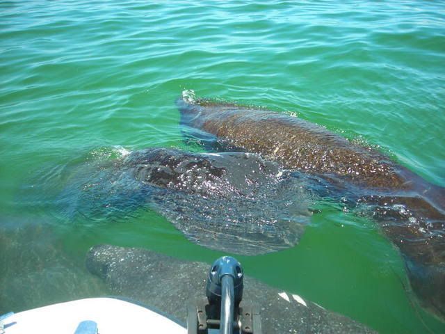 DSCN0795.jpg