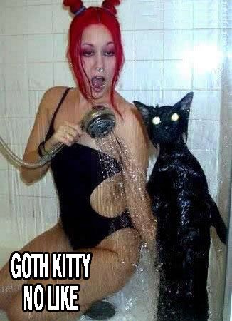 gothkittynolikie.jpg