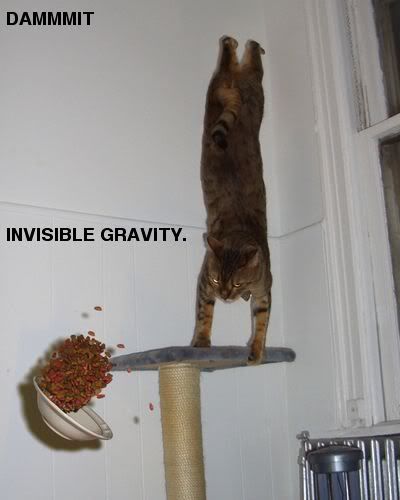 gravity.jpg