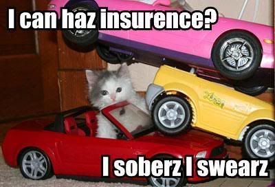 i-can-haz-insurence-i-soberz-i-swea.jpg