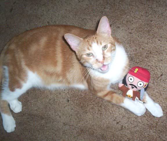 rufus.jpg
