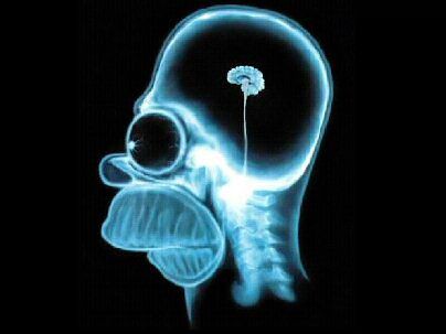 homer-simpson-wallpaper-brain-1024.jpg