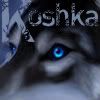 Koshka Avatar