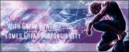 spideybannercopy3.jpg