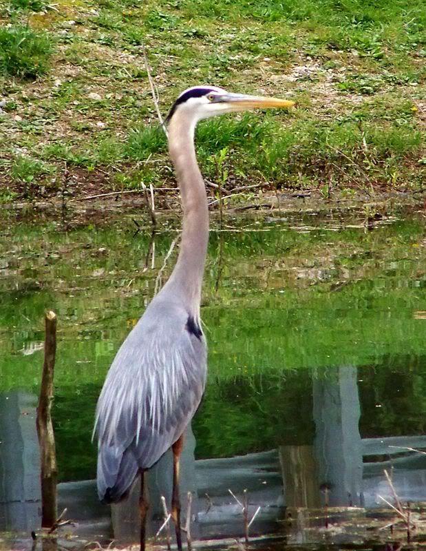 050308fishing001.jpg