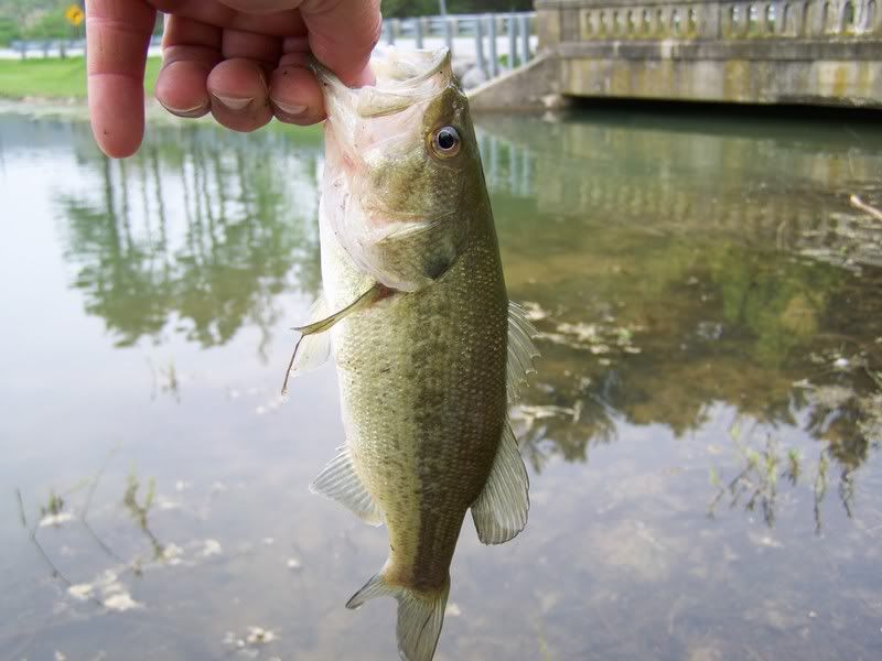 050308fishing010.jpg