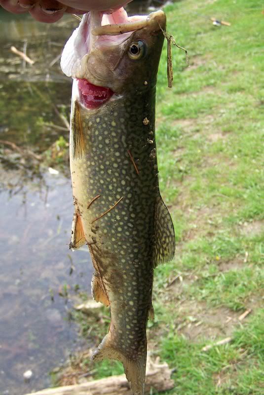 050308fishing011.jpg